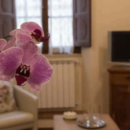 아파트 Casa Virginia *